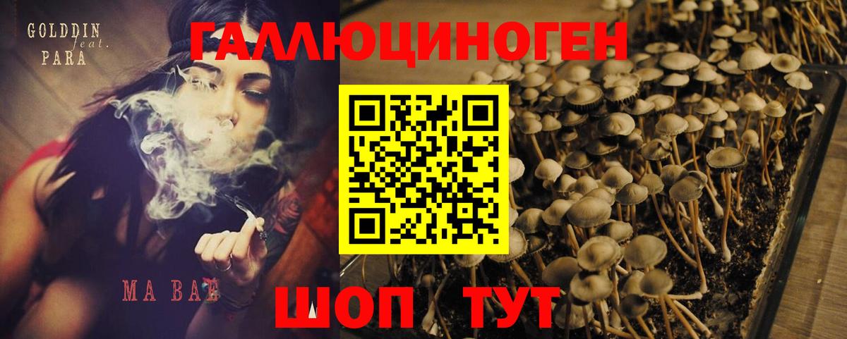 Надым  Галлюциногенные грибы мицелий  Вход с VPN 