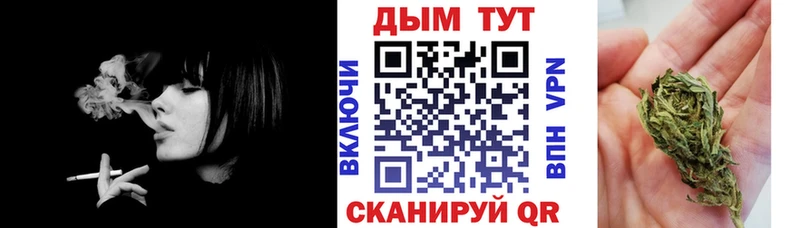Бошки Шишки Amnesia  Надым 